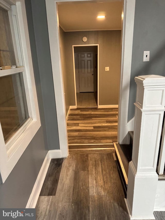 hallway featuring dark wood-type flooring