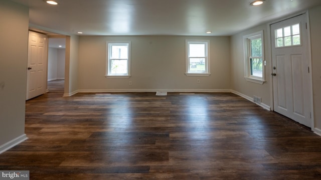 foyer with a wealth of natural light and dark wood-type flooring