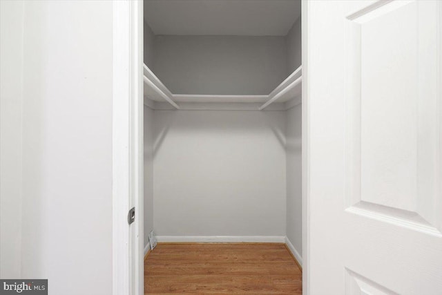 walk in closet with wood-type flooring