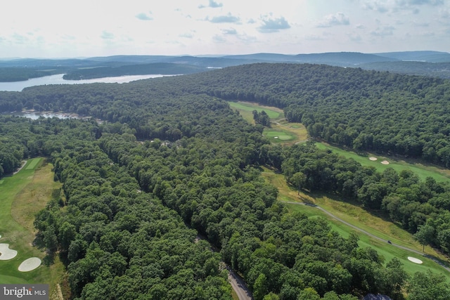 Listing photo 3 for PolandRunViewWest Thousand Acres Road, Swanton MD 21561