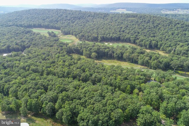 PolandRunViewWest Thousand Acres Road, Swanton, MD 21561