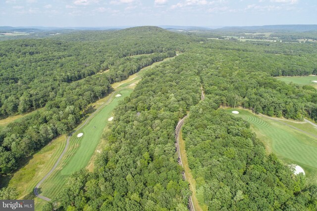 PolandRunViewWest Thousand Acres Road, Swanton, MD 21561