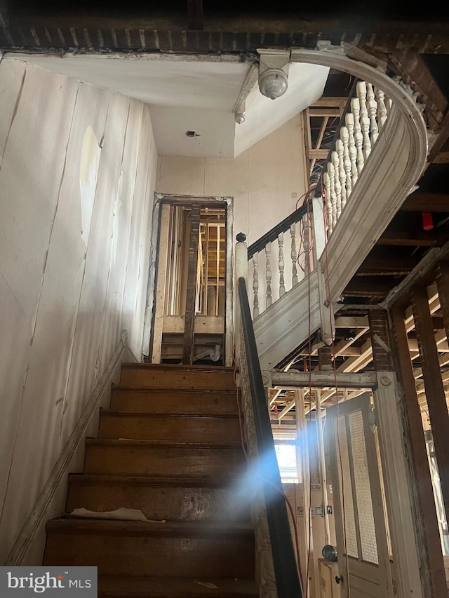 staircase featuring wood walls