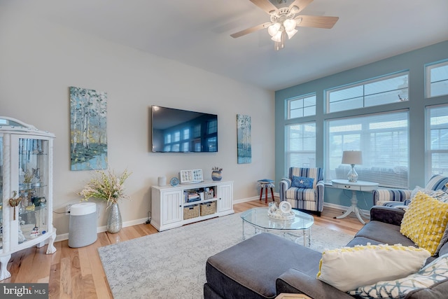 living room with ceiling fan and light hardwood / wood-style floors