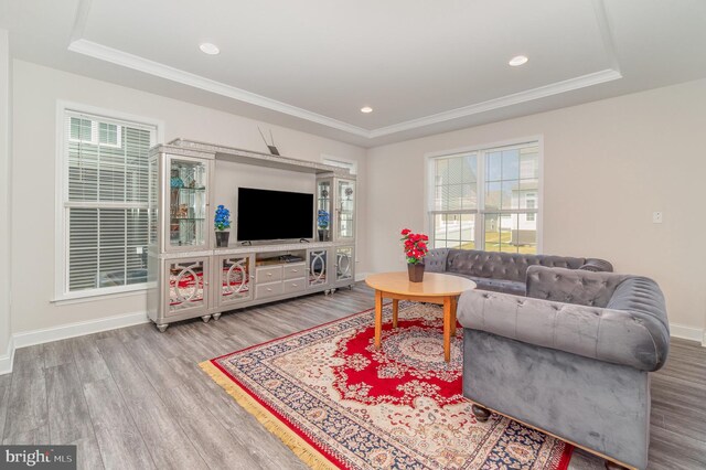 living room featuring a raised ceiling, hardwood / wood-style floors, and a wealth of natural light