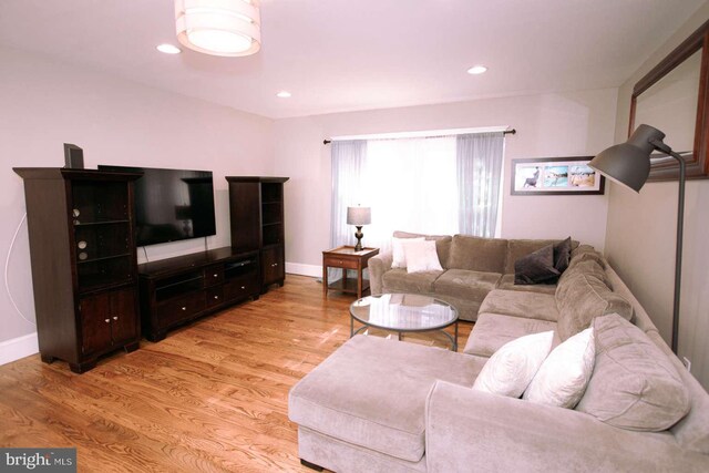 living room featuring light hardwood / wood-style floors