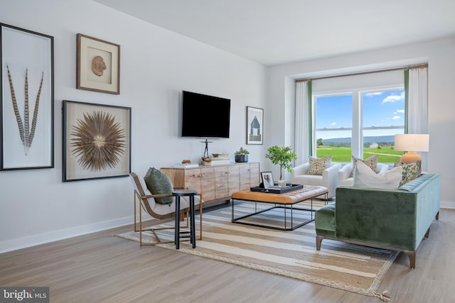 living room featuring light hardwood / wood-style flooring