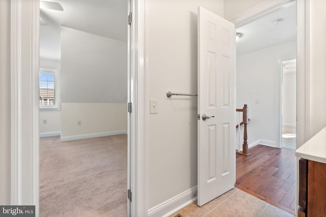 bathroom featuring wood-type flooring