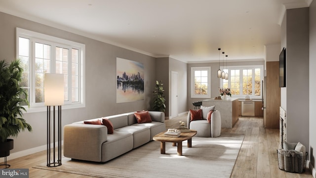 living area with ornamental molding, baseboards, and light wood finished floors