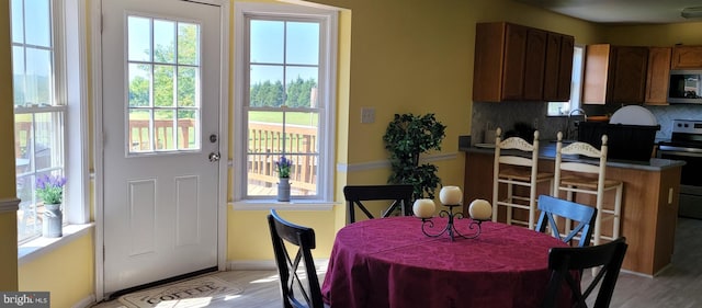 dining area featuring a healthy amount of sunlight and light wood-type flooring