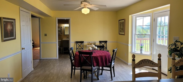 dining room featuring ceiling fan and hardwood / wood-style flooring