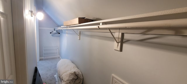 walk in closet featuring lofted ceiling and carpet flooring