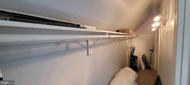 spacious closet with lofted ceiling and carpet flooring