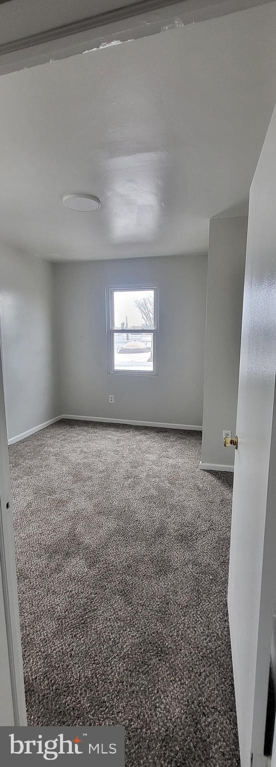 spare room featuring carpet