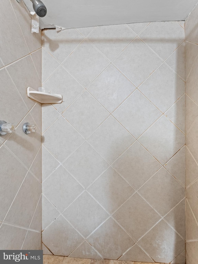 room details with a tile shower