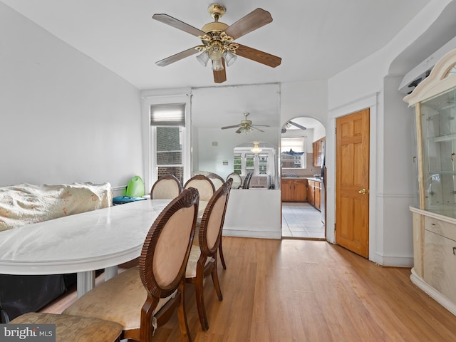 dining room featuring ceiling fan and light hardwood / wood-style flooring