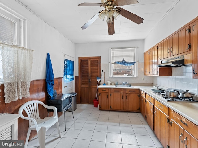 kitchen featuring tasteful backsplash, plenty of natural light, sink, and stainless steel gas cooktop