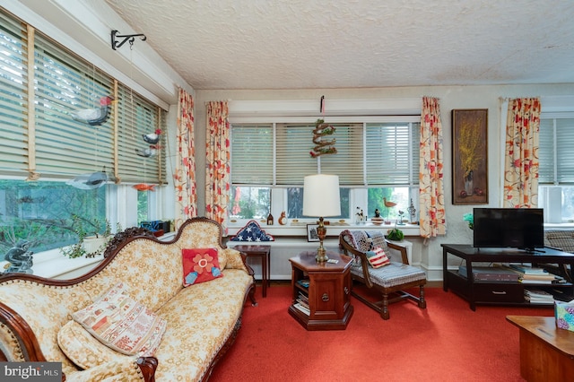 living room with a healthy amount of sunlight, carpet flooring, and a textured ceiling