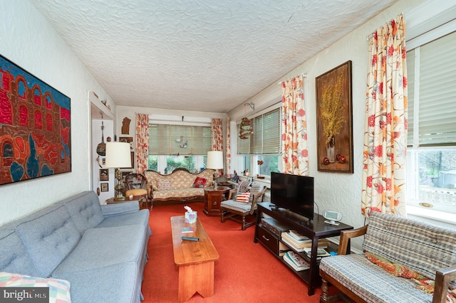 living room with a textured ceiling and carpet