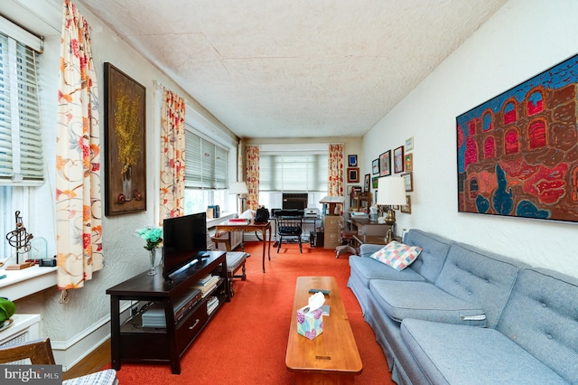 living room featuring a textured ceiling