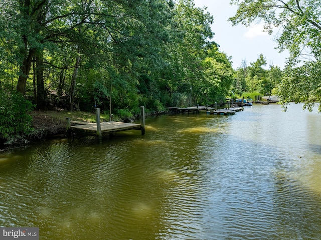 water view with a boat dock