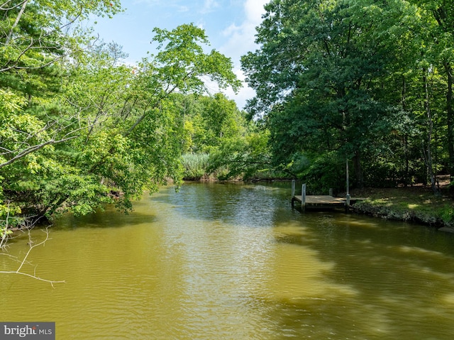 property view of water