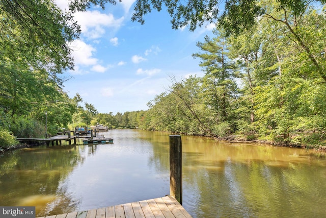 dock area featuring a water view