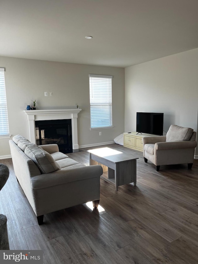 living room featuring dark wood-type flooring