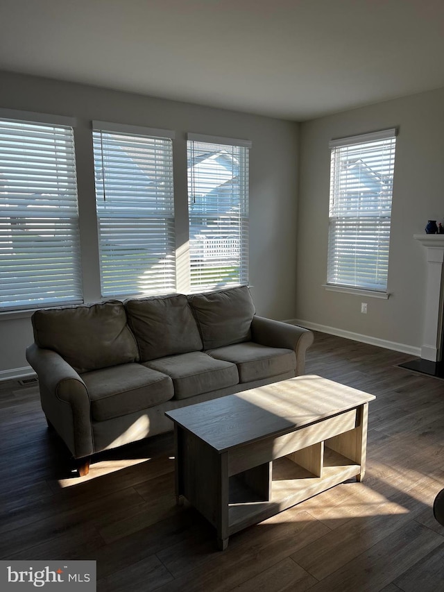 living room with dark wood-type flooring