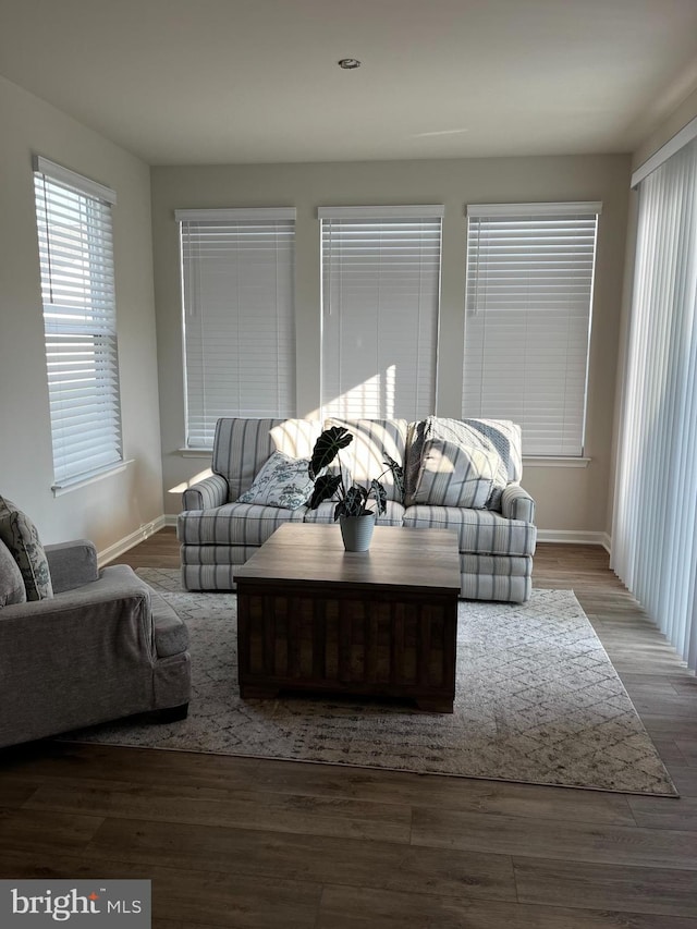 living room featuring hardwood / wood-style flooring