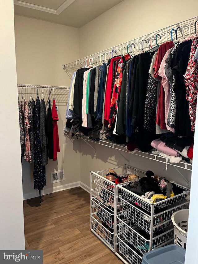 walk in closet featuring wood-type flooring