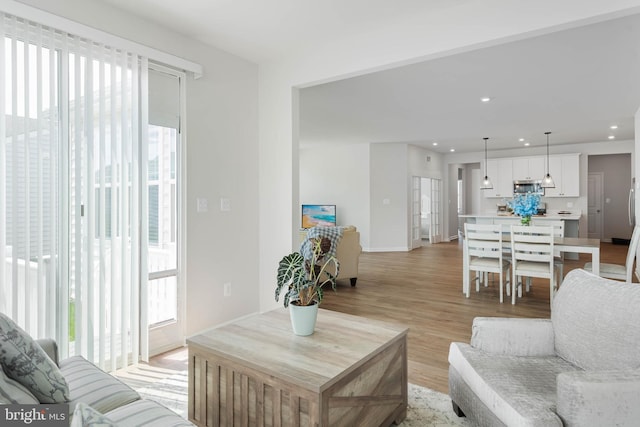 living room featuring light hardwood / wood-style floors