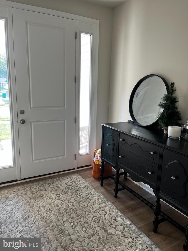 foyer featuring hardwood / wood-style flooring