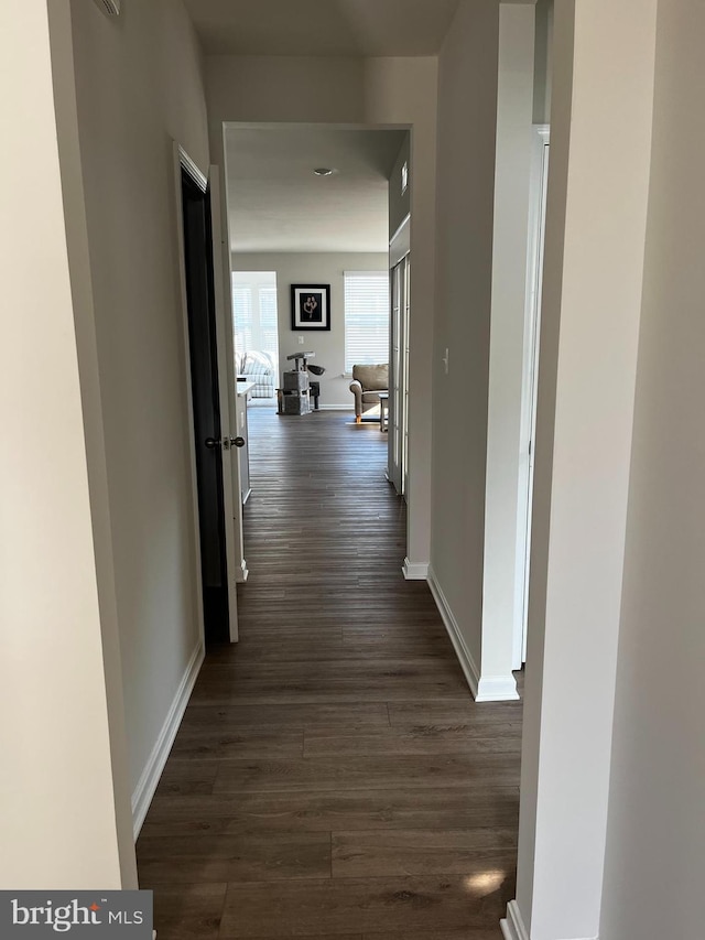 hall with dark hardwood / wood-style flooring