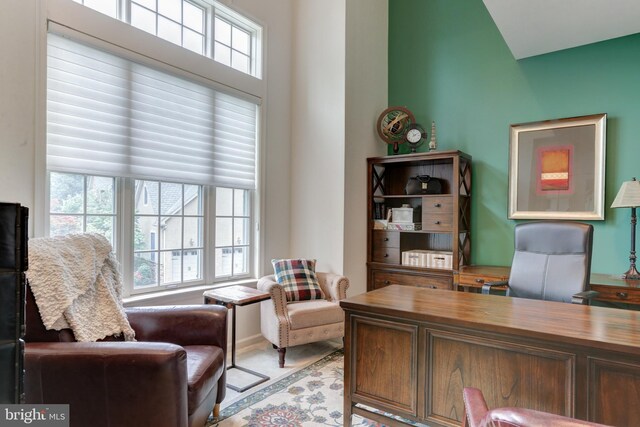 home office featuring a wealth of natural light