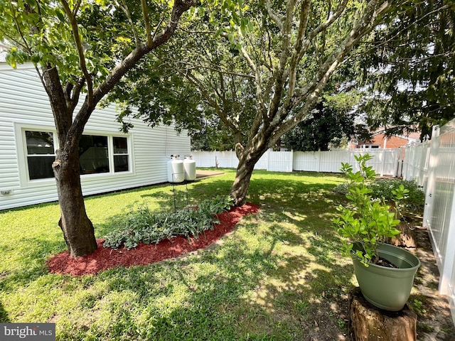 view of yard with a fenced backyard