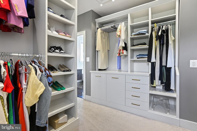 spacious closet with light colored carpet