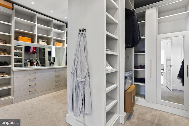 spacious closet with light colored carpet