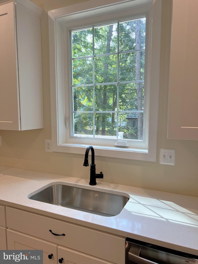 kitchen featuring white cabinetry, sink, and stainless steel dishwasher