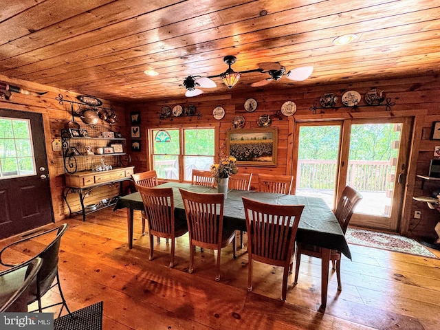 dining space with hardwood / wood-style floors and ceiling fan