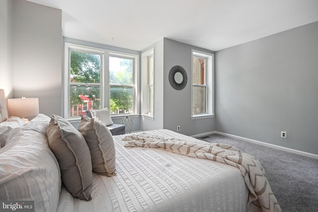 bedroom with carpet