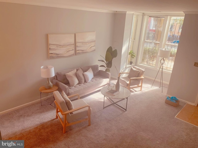 living room featuring crown molding and carpet flooring