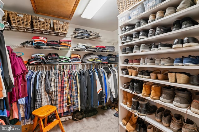 walk in closet featuring light carpet