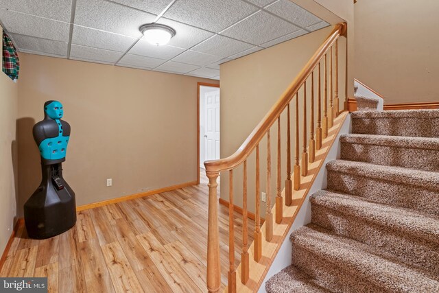 stairway with hardwood / wood-style flooring and a drop ceiling