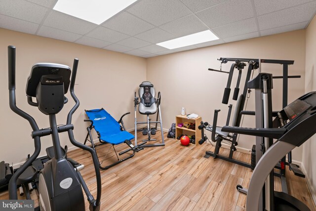 exercise room featuring light hardwood / wood-style floors and a paneled ceiling