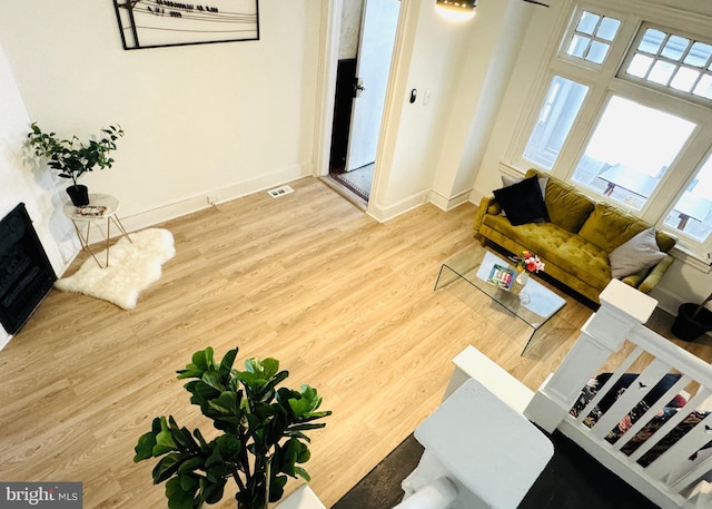 living room featuring wood-type flooring