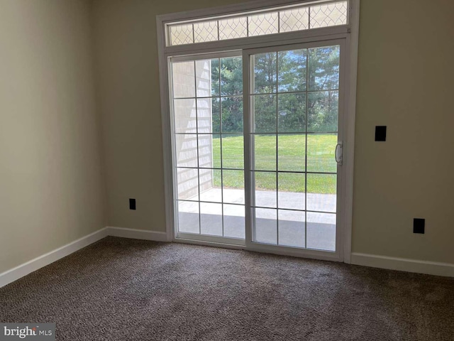 doorway featuring carpet flooring