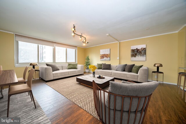 living room featuring track lighting, hardwood / wood-style floors, and ornamental molding