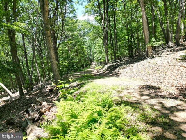 LOT23 Cove Crk, Baker WV, 26801 land for sale