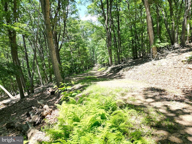 LOT23 Cove Crk, Baker, WV 26801
